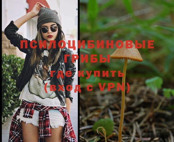 тгк Балахна